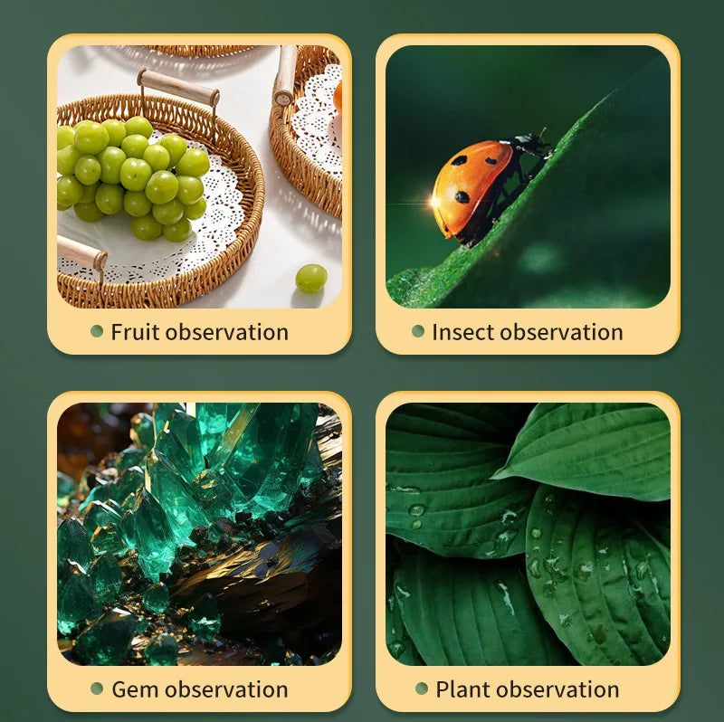 Electron Microscope, Intelligent Portable