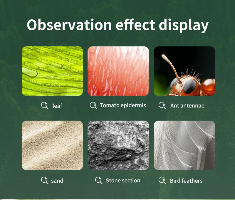 Electron Microscope, Intelligent Portable